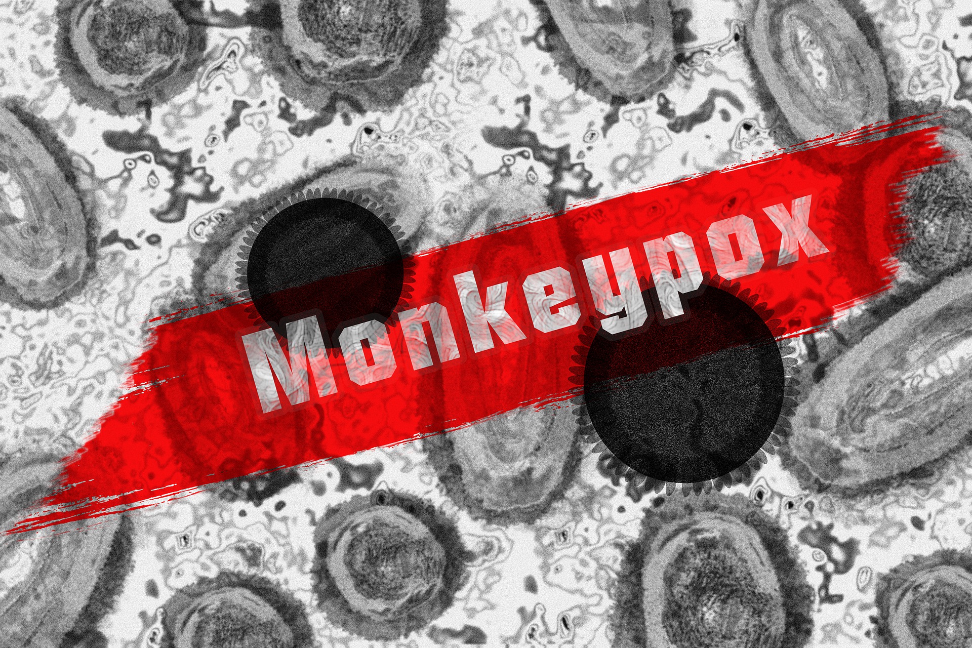 a specimen of monkey pox in black and white with a red painted color painted across the sheet with the words monkey pox stamped on it 