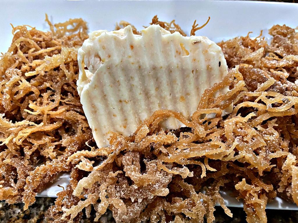 a sea moss soap on a bed of Sea moss 