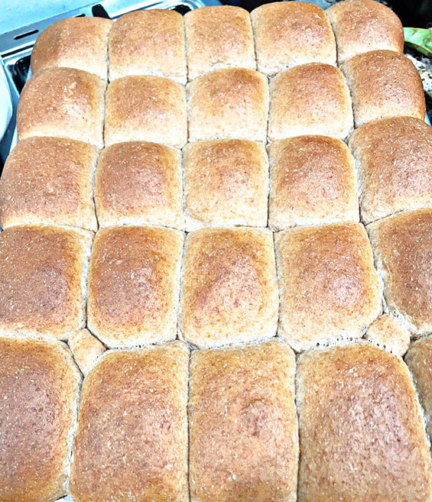 spelt dinner rolls on a baking sheet, baked golden brown. 