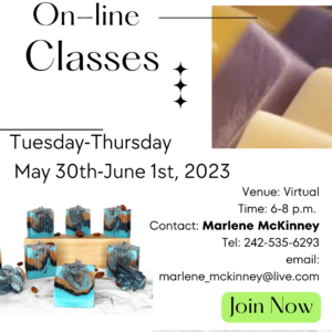 Soap Making Classes Online